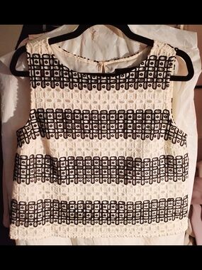 Banana Republic Cream Lace Sleeveless Top with Black Embroidered Stripes
